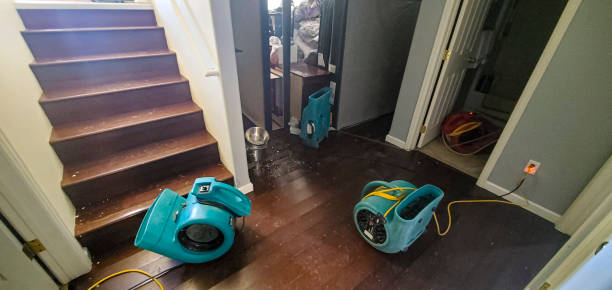 Best Ceiling water damage repair  in Whitg, IN