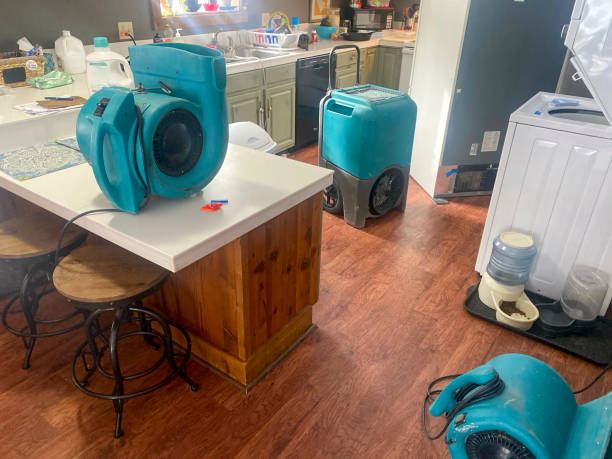 Best Sewage cleanup and water damage restoration  in Whitg, IN
