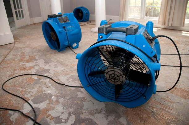 Trusted IN Water damage restoration Experts