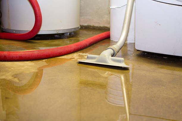 Best Flood restoration services  in Whitg, IN