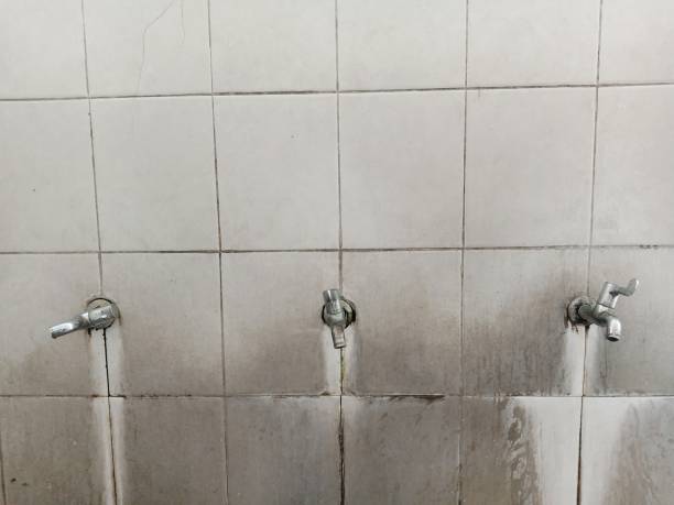 Best Water damage restoration near me  in Whitg, IN