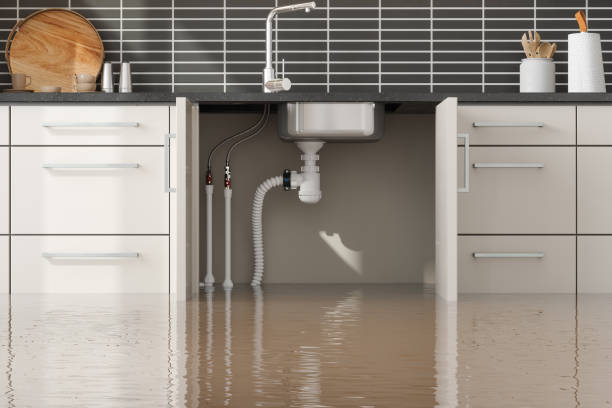 Best 24/7 water damage repair  in Whitg, IN