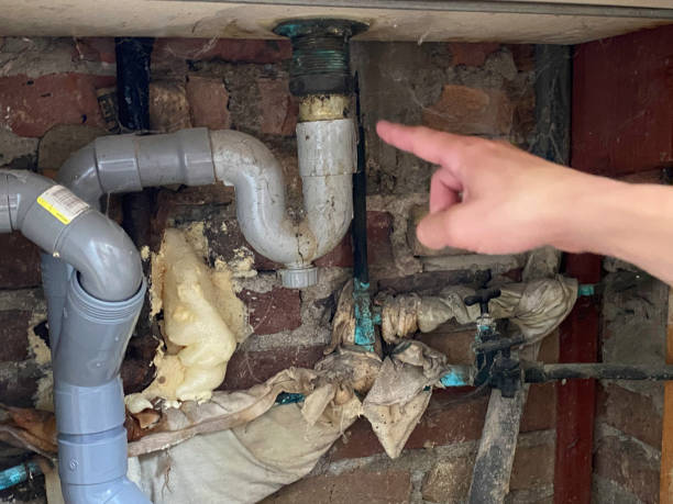 Best Residential water damage restoration  in Whitg, IN